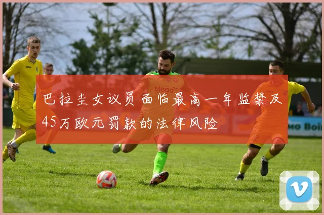 巴拉圭女议员面临最高一年监禁及45万欧元罚款的法律风险