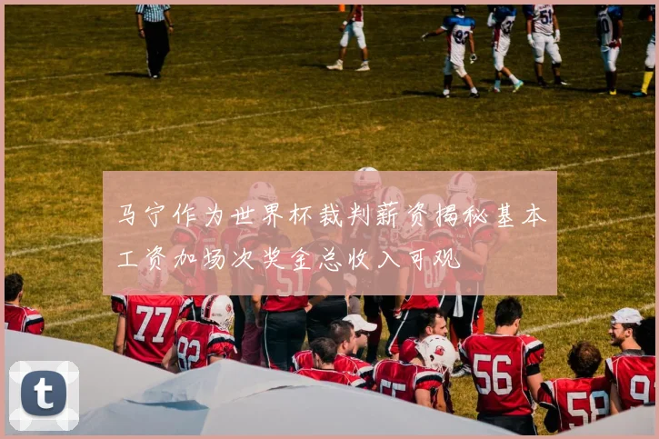 马宁作为世界杯裁判薪资揭秘基本工资加场次奖金总收入可观